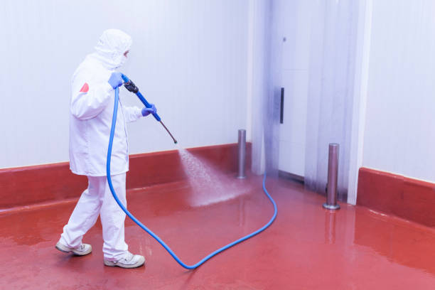  Reno, TX Pressure Washing Pros
